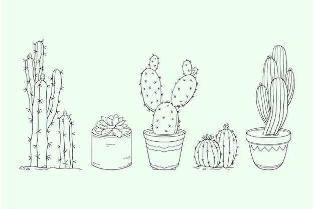 Vettore gratuito illustrazione del profilo del cactus disegnato a mano