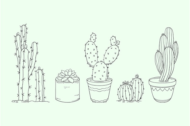 Free Vector hand drawn cactus outline illustration