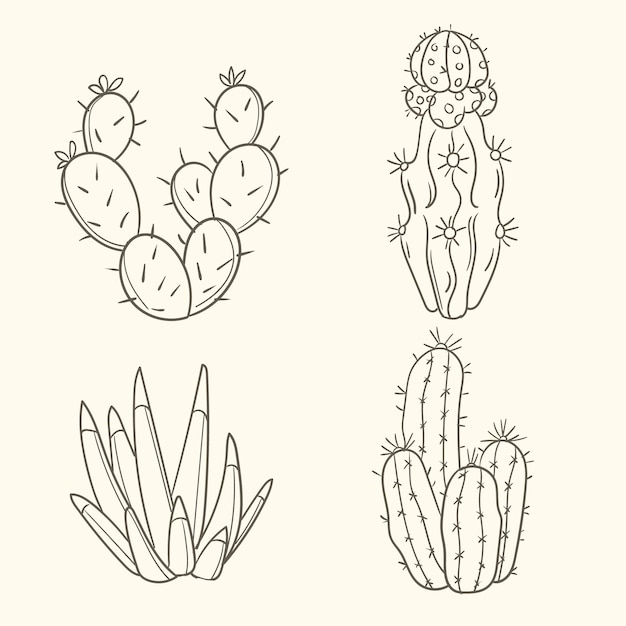 Free Vector hand drawn cactus outline illustration