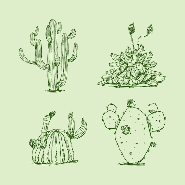 Vettore gratuito illustrazione del profilo del cactus disegnato a mano