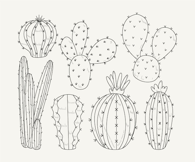 Vettore gratuito illustrazione del profilo del cactus disegnato a mano