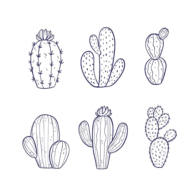 42 Ilustrações de Cactus Logo Vector - Getty Images