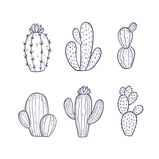 Hand drawn cactus outline illustration