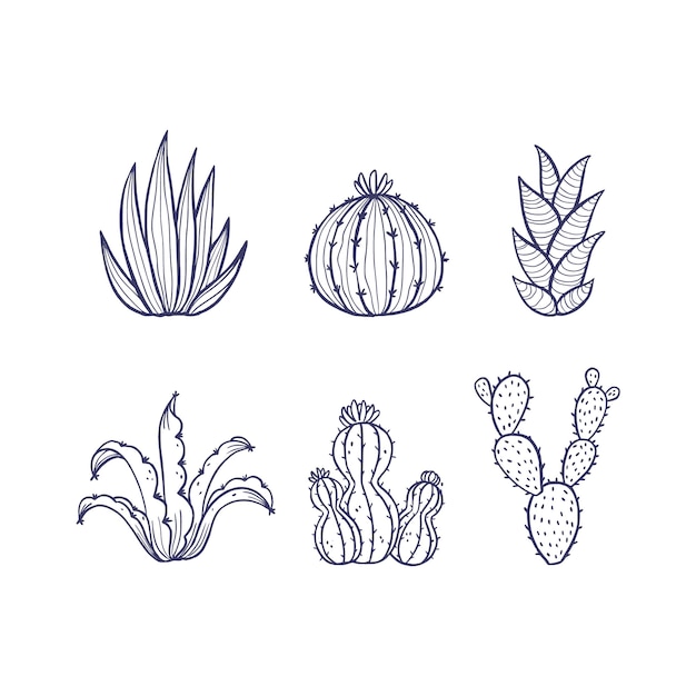 Hand drawn cactus outline illustration