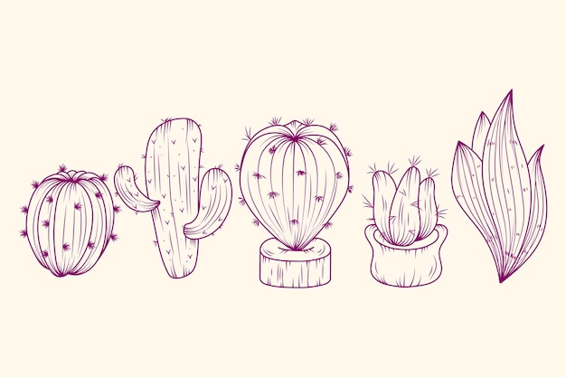 Hand drawn cactus outline illustration