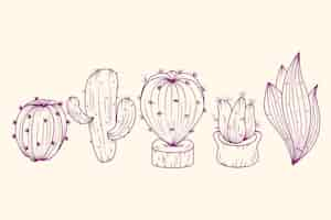 Free vector hand drawn cactus outline illustration