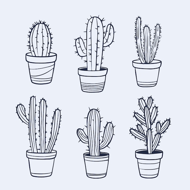 Hand drawn cactus outline illustration