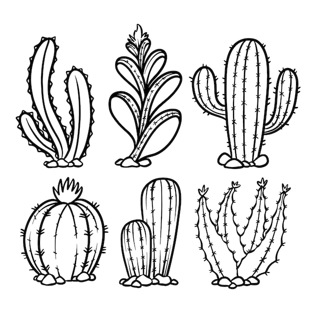 Vetor Desenho Único De Cactos Clipart De Stock, Royalty-Free