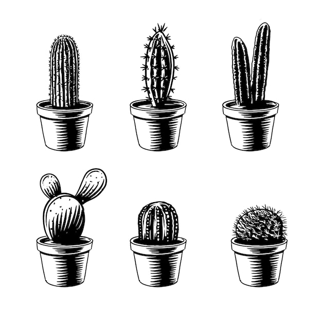 Vettore gratuito illustrazione del profilo del cactus disegnato a mano