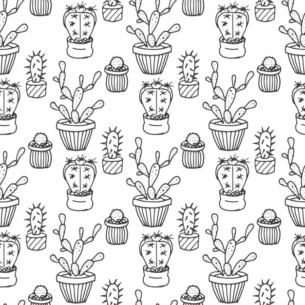 Hand drawn cactus pattern