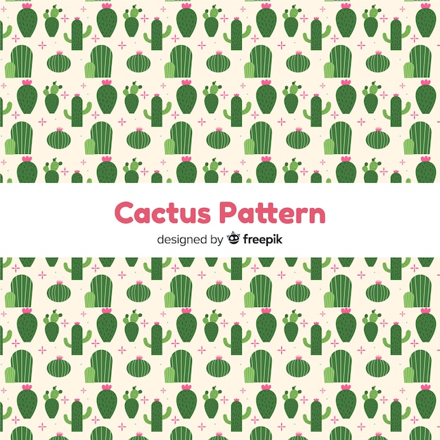 Modello di cactus disegnato a mano