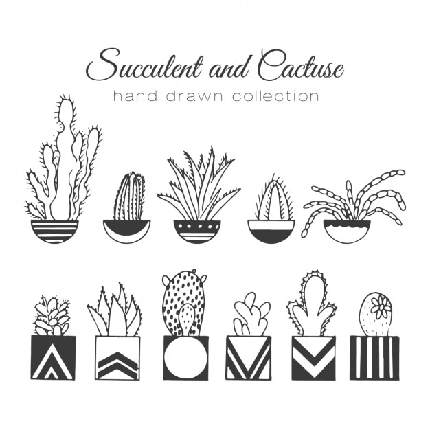 Vettore gratuito insieme disegnato a mano cactus