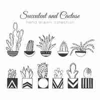 Free vector hand drawn cactus set