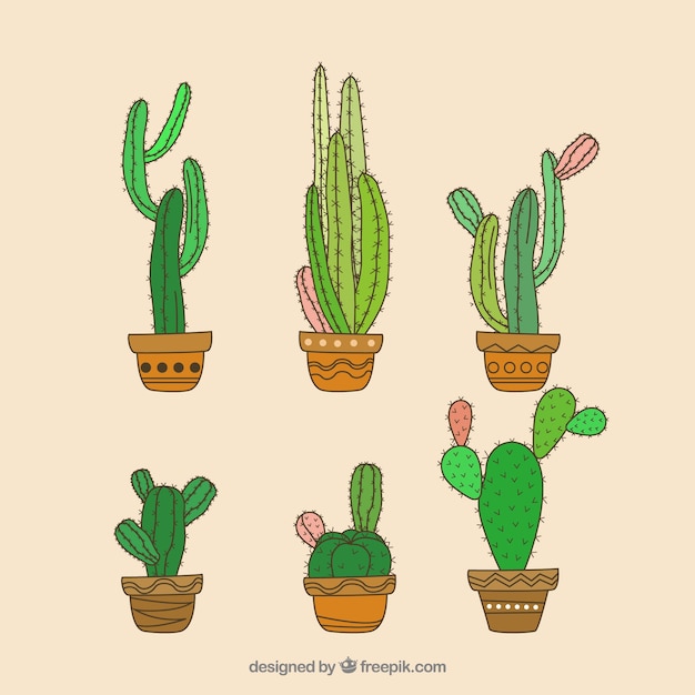 Free vector hand drawn cactus with lovely style