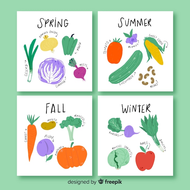 Hand drawn calendar of seasonal vegetables and fruits
