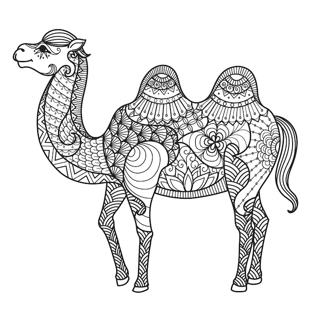 Hand drawn camel background