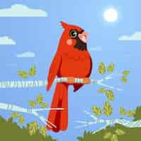 Free vector hand drawn cardinal bird illustration