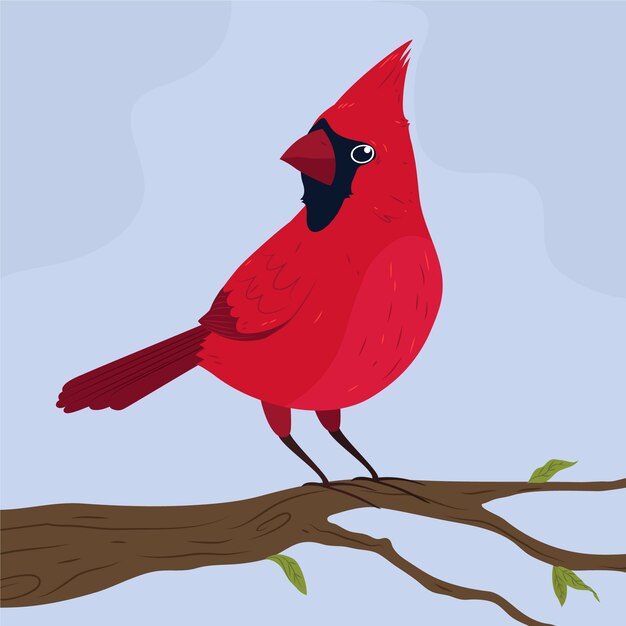 Нарисованная рукой кардинальная иллюстрация птицы
