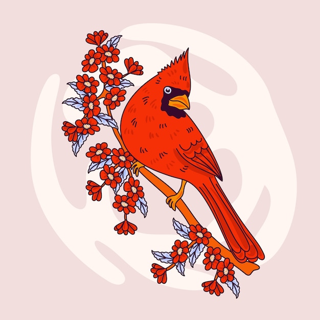 Нарисованная рукой кардинальная иллюстрация птицы