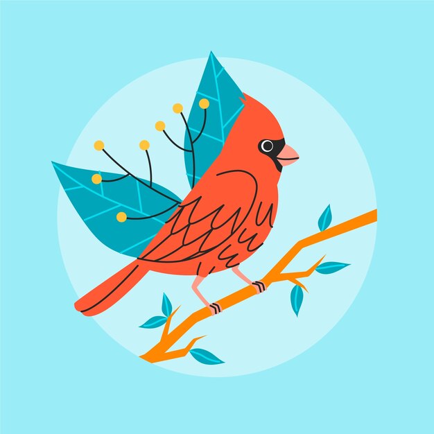 hand drawn cardinal bird illustration