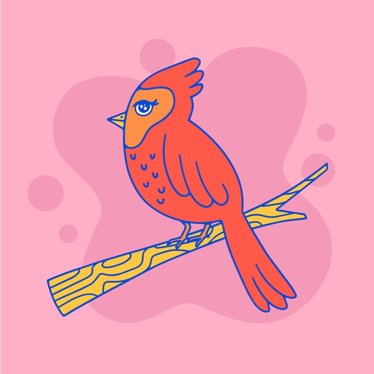 Free Vector hand drawn cardinal bird illustration