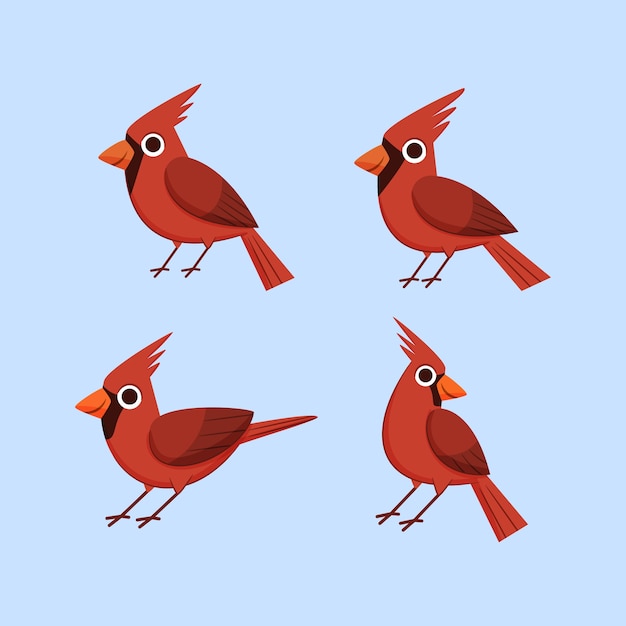 Vettore gratuito illustrazione dell'uccello cardinale disegnato a mano