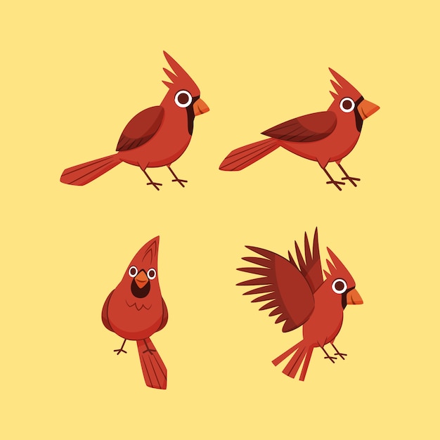 Free vector hand drawn cardinal bird illustration