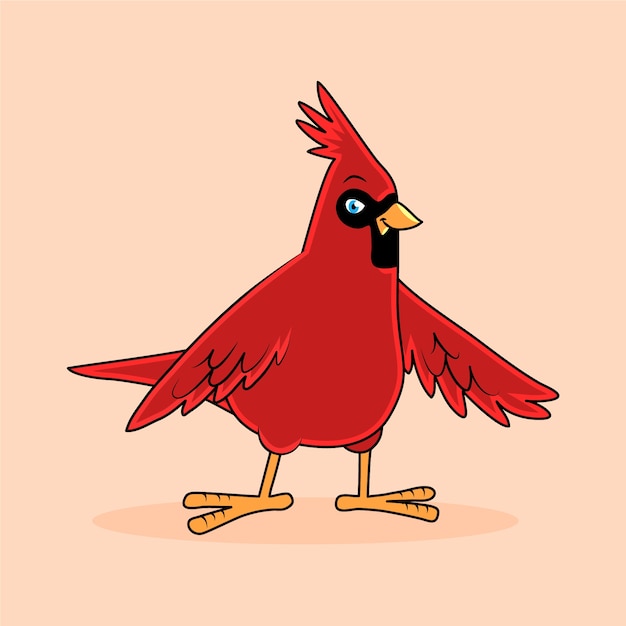 Hand drawn cardinal cartoon illustration