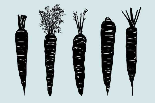 Hand drawn carrot silhouette