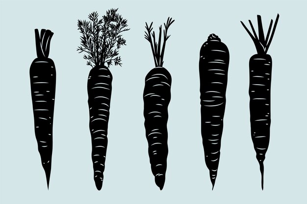 Hand drawn carrot silhouette