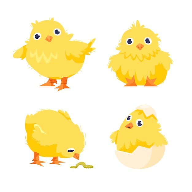 Hand drawn cartoon chick illustration