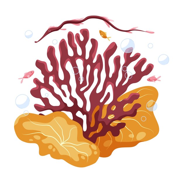 Hand drawn cartoon coral illustration