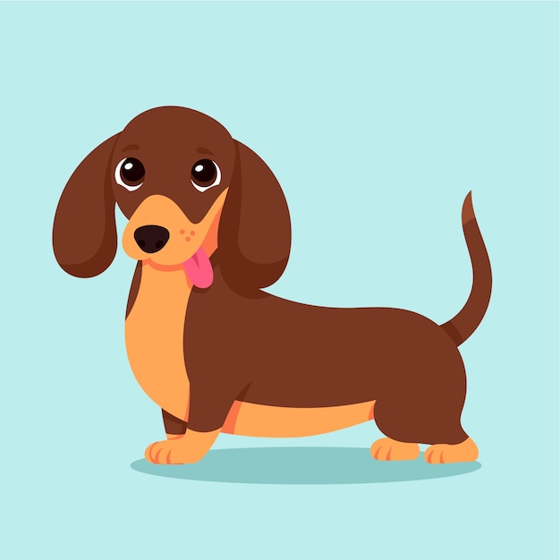 hand drawn cartoon dachshund illustration