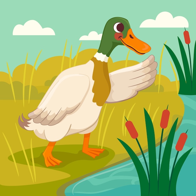 Hand Drawn Cartoon Duck Illustration