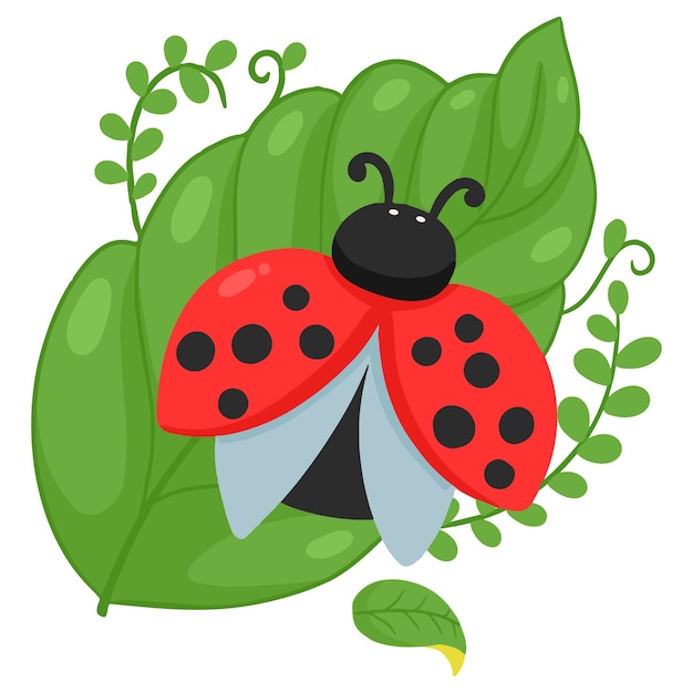 Free vector hand drawn cartoon ladybug illustration