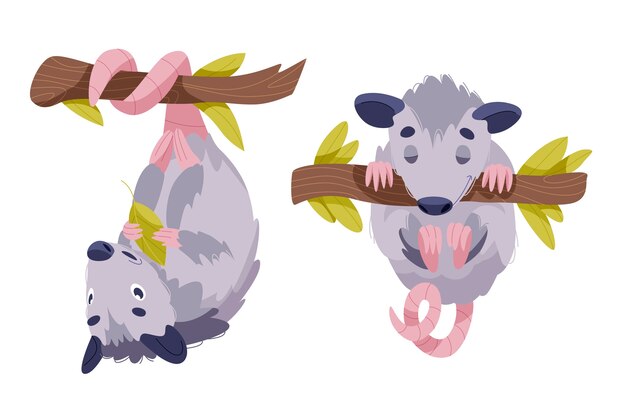 Hand drawn cartoon possum illustration