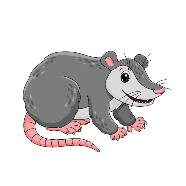 Hand drawn cartoon possum illustration