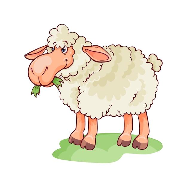 Hand drawn cartoon sheep illustration