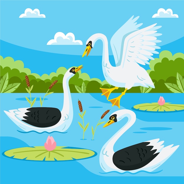 Free vector hand drawn cartoon swan illustration