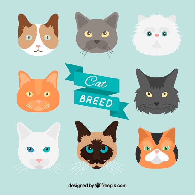 Free vector hand drawn cat breed pack