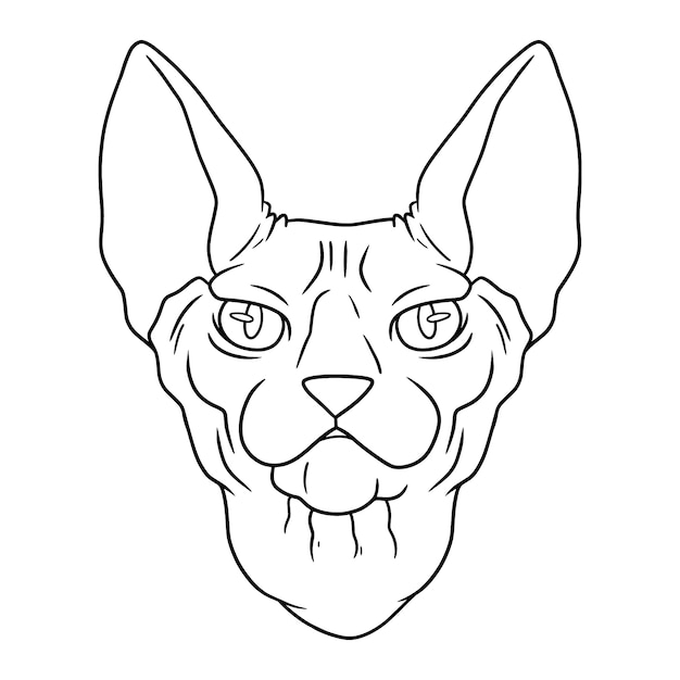 Hand drawn cat face outline illustration