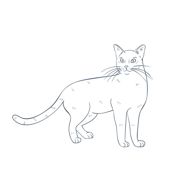 Hand drawn cat outline illustration