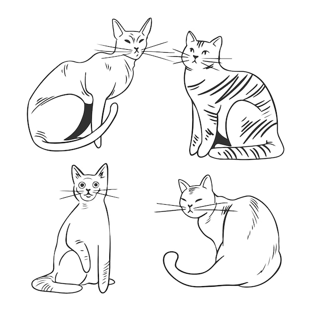 Illustrazione del profilo del gatto disegnato a mano