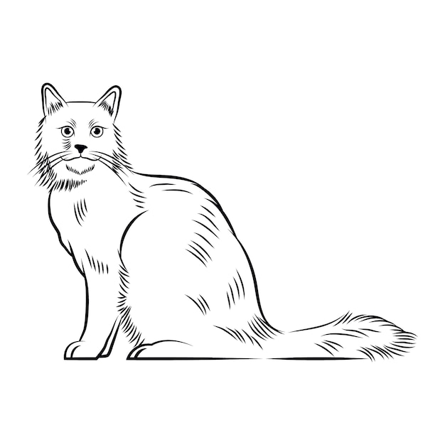 Нарисованная рукой иллюстрация контура кота