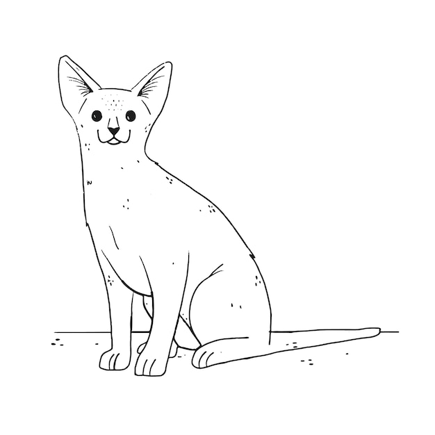 Hand drawn cat outline illustration