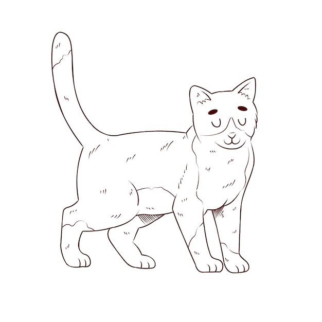 Free vector hand drawn cat outline illustration