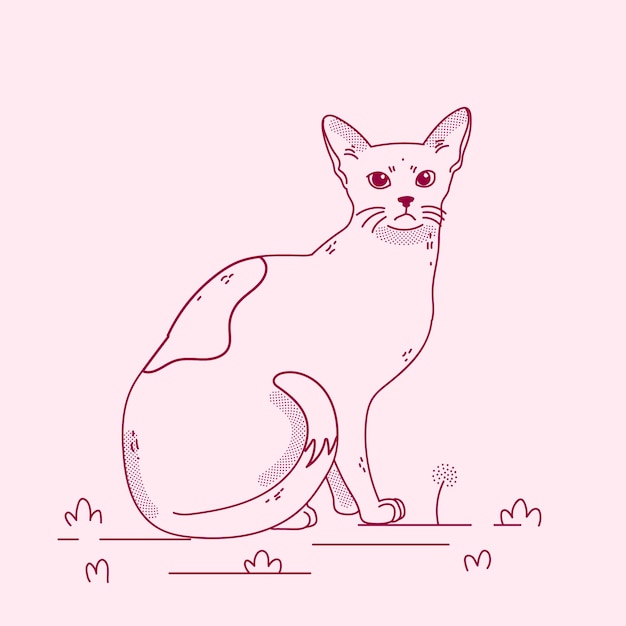 Бесплатное векторное изображение Нарисованная рукой иллюстрация контура кота