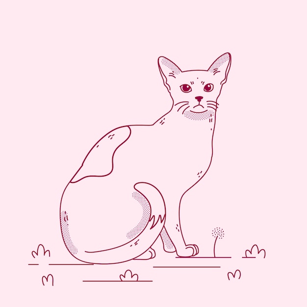 Hand drawn cat outline illustration