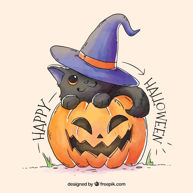 Hand drawn cat and pumpkin with cute style