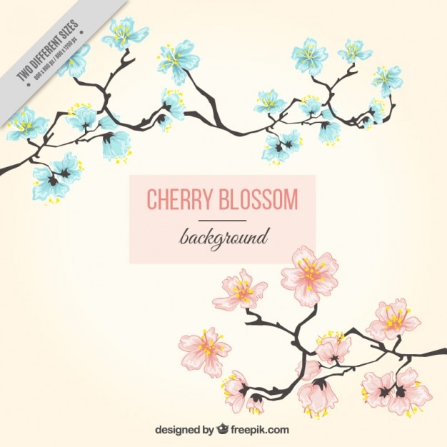 Hand drawn cherry blossom background